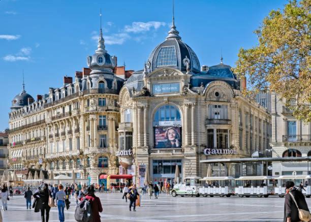 Le Studio De La Comedie, Montpellier, Hyper-Centre Lejlighed Eksteriør billede